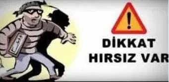 Adıyaman’da Fırsatçılar İncir Bahçelerine Dadandı