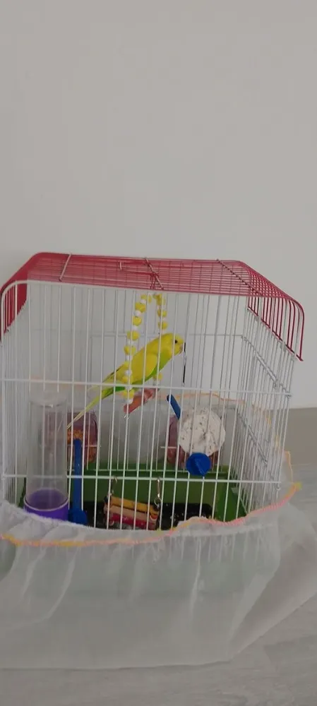 AGC BAŞKANI ZEKİ DİŞKAYA 